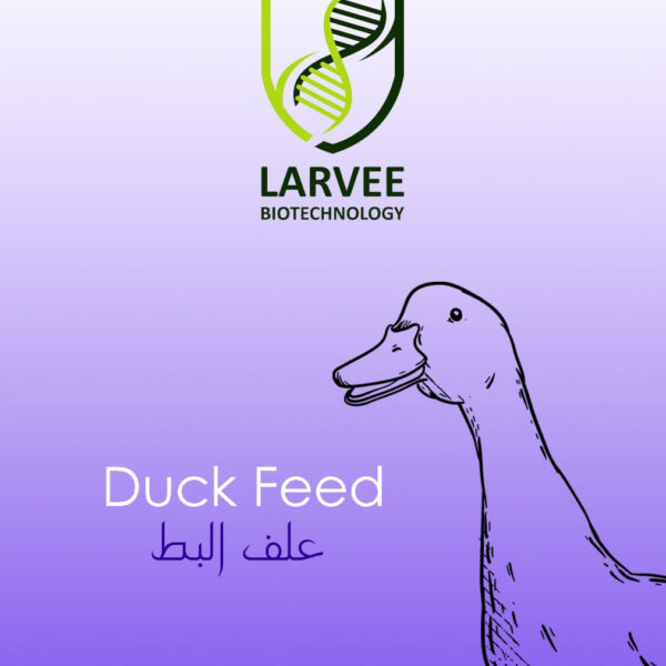 duck feed