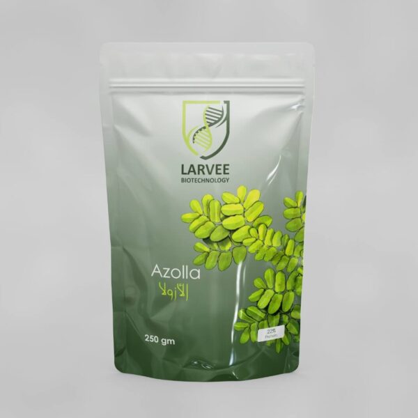 Azolla